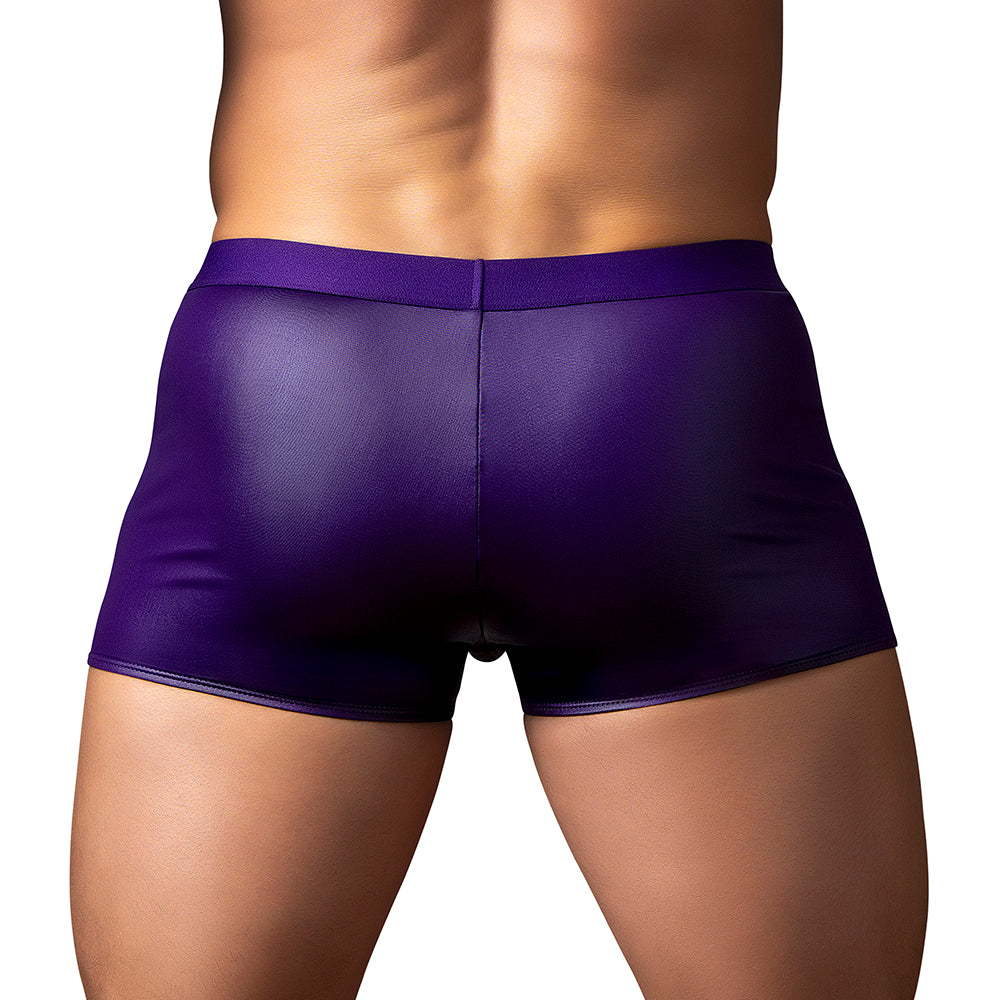 Male Power Eggplant Crossover Short Plum L