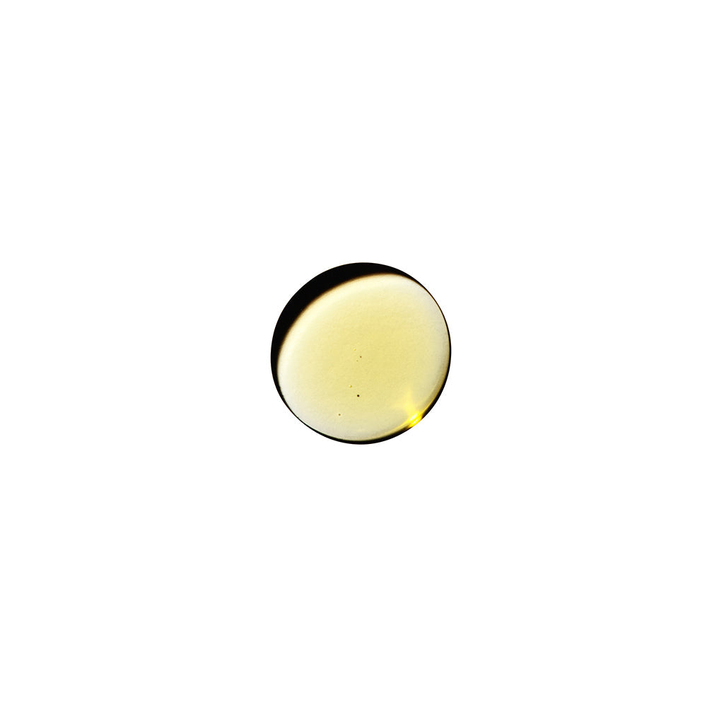 Dame Sex Oil Massage Oil 2 oz.