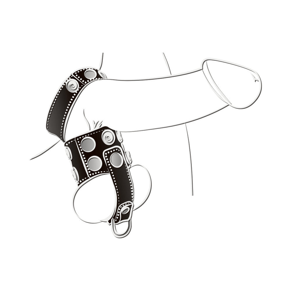 Ballgear Ball Stretcher With Separator & D-Ring - Black