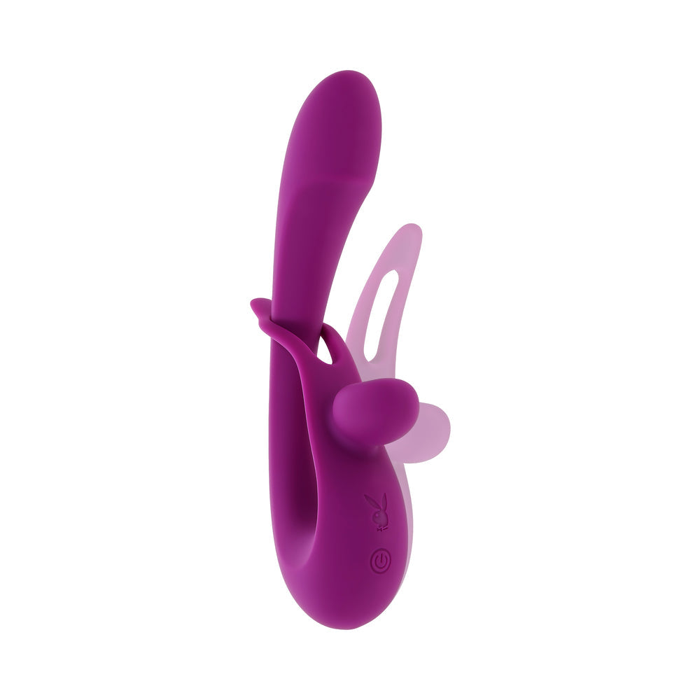 Playboy Cha Cha Slide Wild Aster