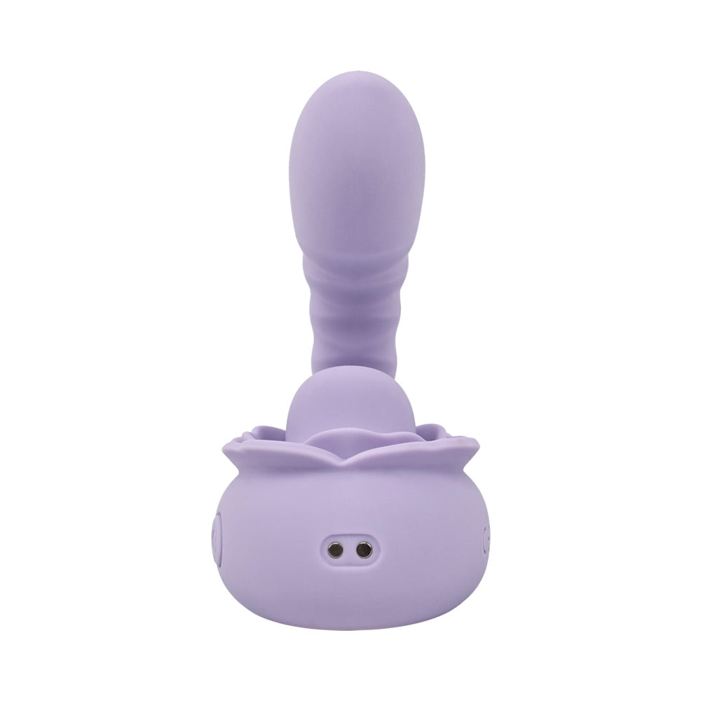 Adam & Eve Lilac Licks
