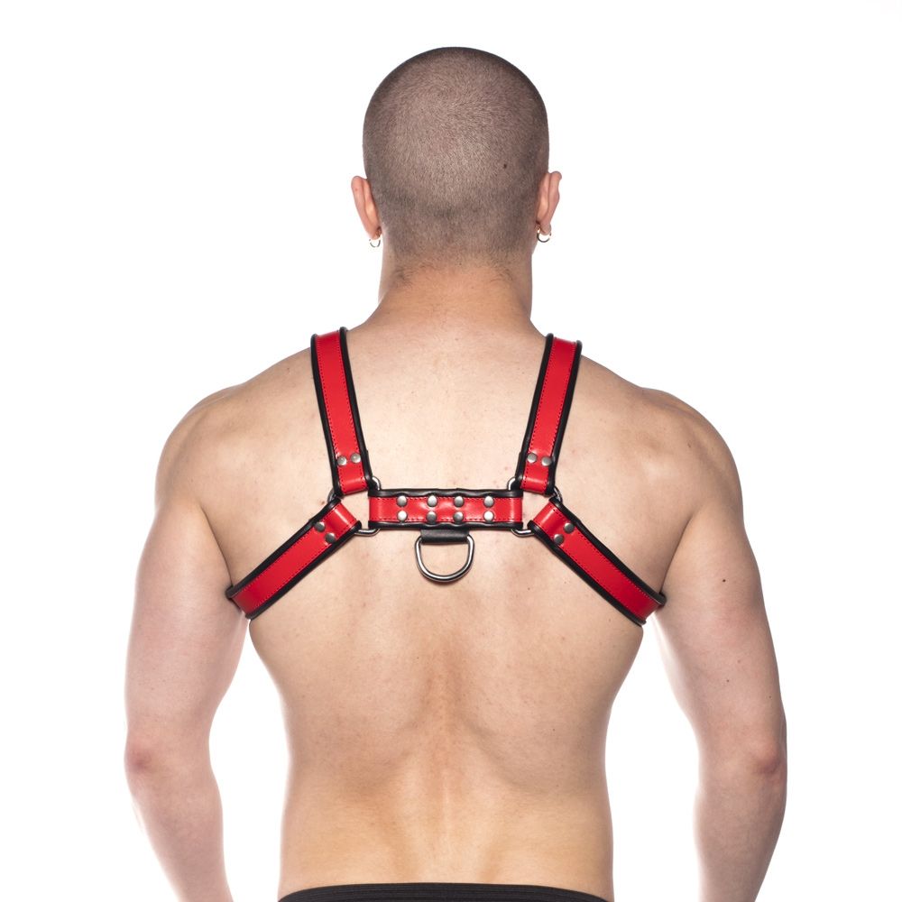 Prowler RED Bull Harness Black/Red L