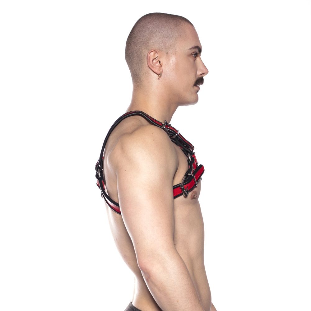 Prowler RED Bull Harness Black/Red S