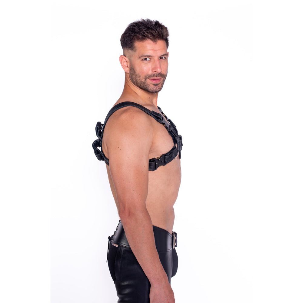 Prowler RED Bull Harness Black with Metal Fittings XL