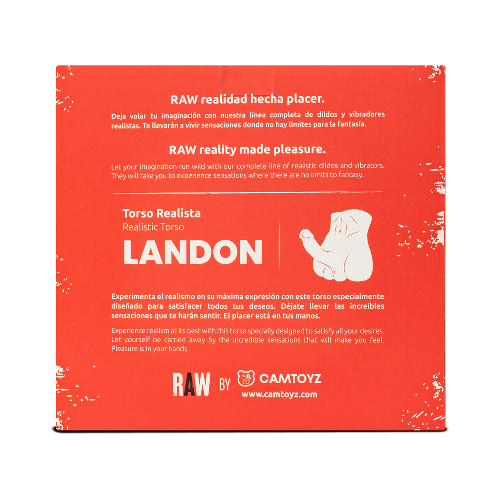 Camtoyz Realistic Torso Landon