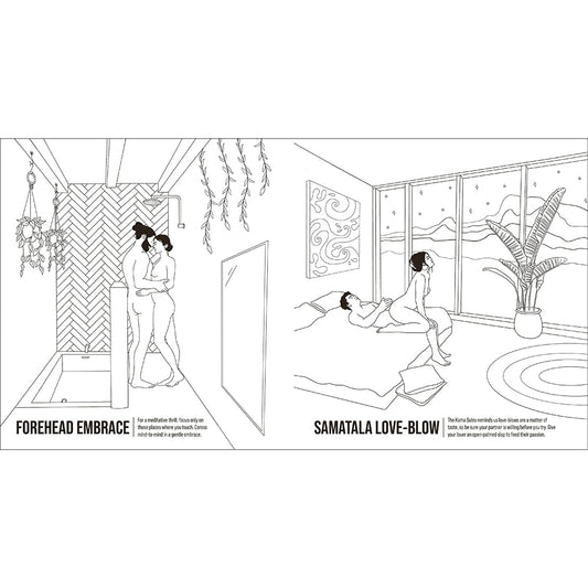 The Kama Sutra Coloring Book: For Maximum Pleasure and Relaxation - product photo 2