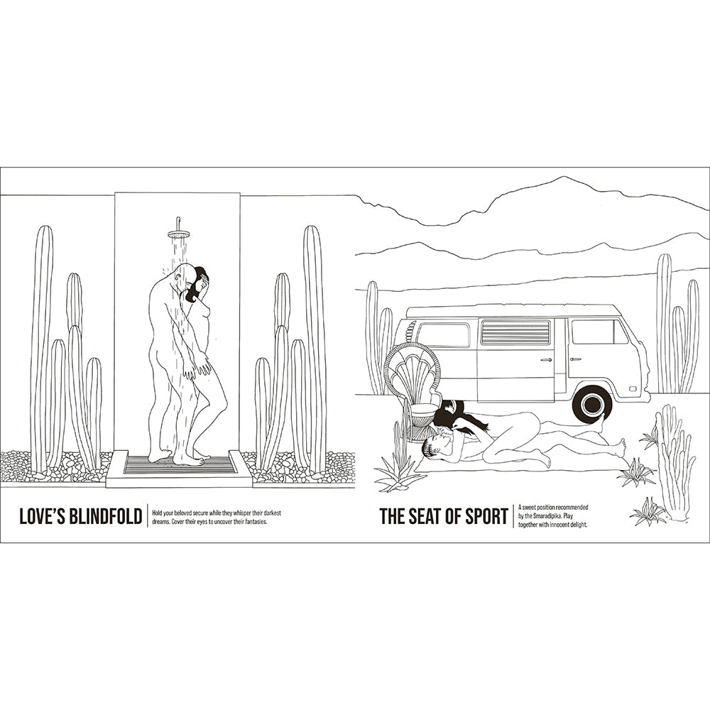 The Kama Sutra Coloring Book: For Maximum Pleasure and Relaxation